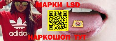 гашик Будённовск