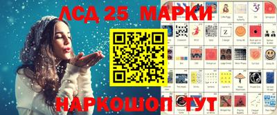 гашик Будённовск