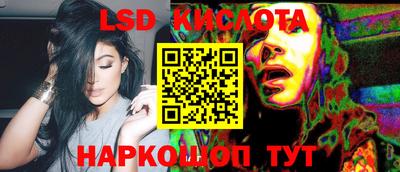 гашик Будённовск