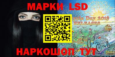 гашик Будённовск