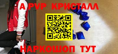 гашик Будённовск