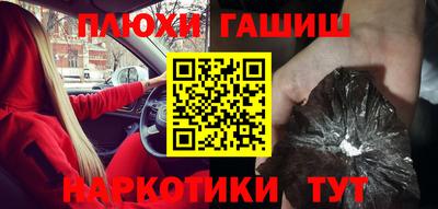 гашик Будённовск