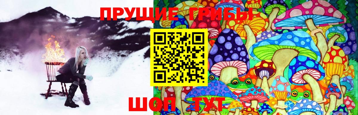 Людиново  Галлюциногенные грибы ЛСД  Вход с VPN 